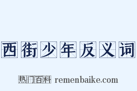 西街少年反义词是什么意思的图片